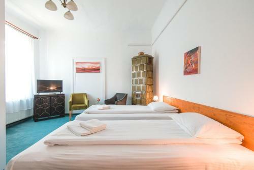Hostal Guesthouse Casa Baciu