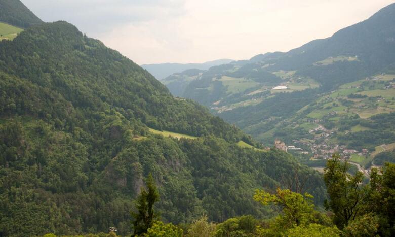 Agroturismo Ausservogelweiderhof