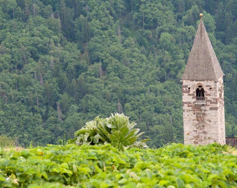 Agroturismo Ausservogelweiderhof
