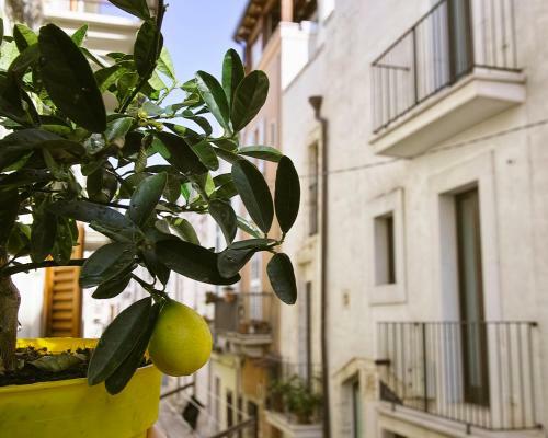 Bed & Breakfast Dimora Nonna Rosa