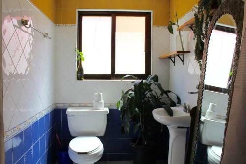 Casa Galgo: Full House To Live Cholula