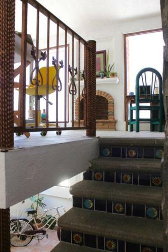Casa Galgo: Full House To Live Cholula