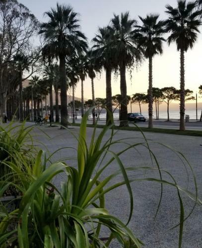 Apartamento Nika House