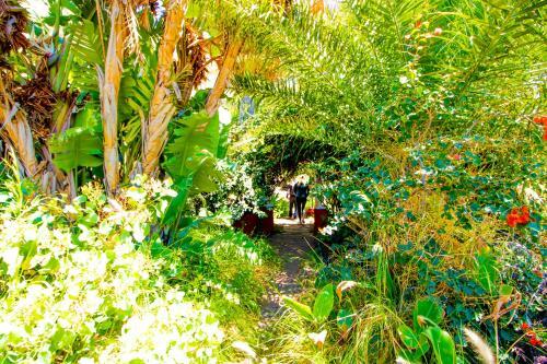 Apartamento El Card�n Agaete Valley Boyr