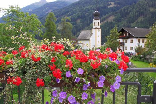 Bed & Breakfast Pension Alpenhof