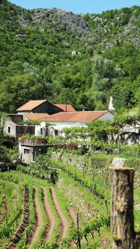 Apartamento Country House Dajkovic