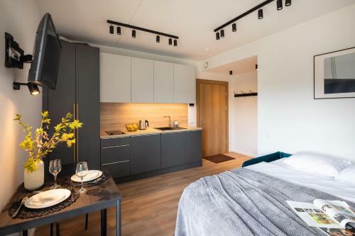 Strelnieku Street Quiet Studio Apartment