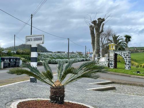 Casa �s Nove