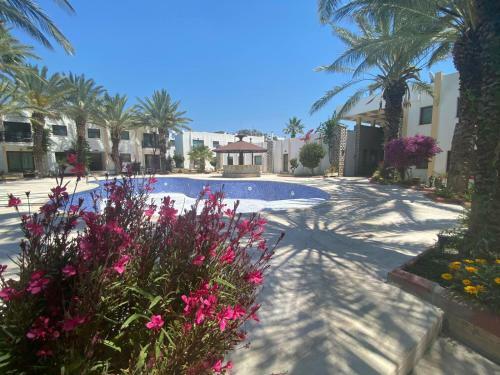 Apartamento Cute 2+1 Apt With Common Pool - Bodrum City Centre