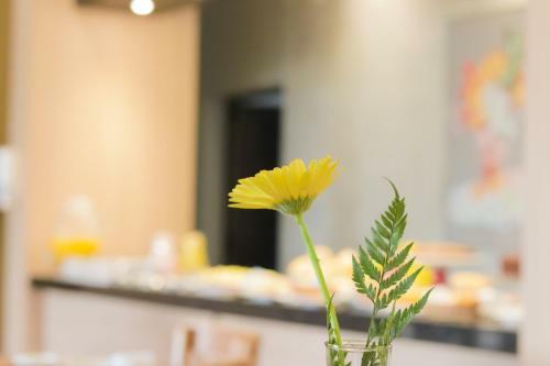 Apartamento Porto Das Asas Park Hotel