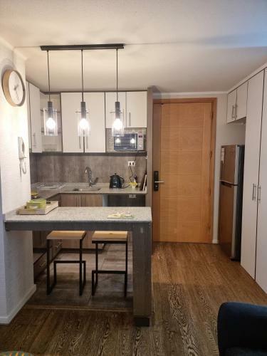 Apartamento Departamento Nuevo En Concepci�n