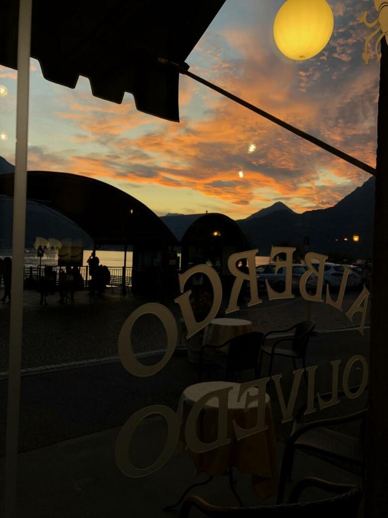 Hotel Olivedo