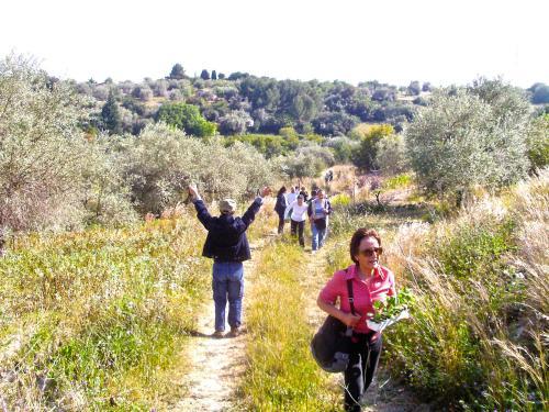 Agroturismo Agriturismo Bioecologico Terra Di Pace