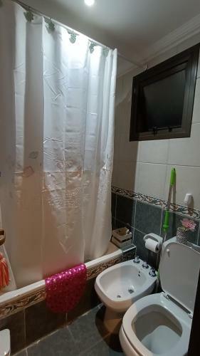Apartamento Departamento C�ntrico Y Acogedor!