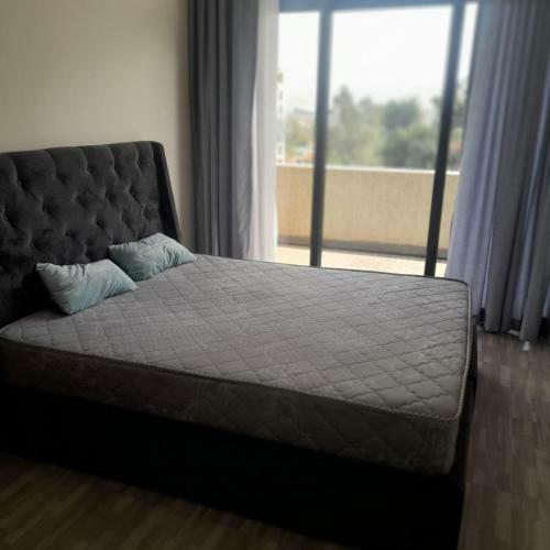 Luxury Fully Furnished Apartment
