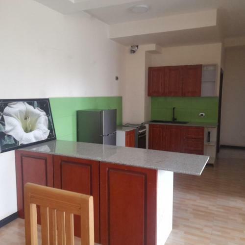 Luxury Fully Furnished Apartment