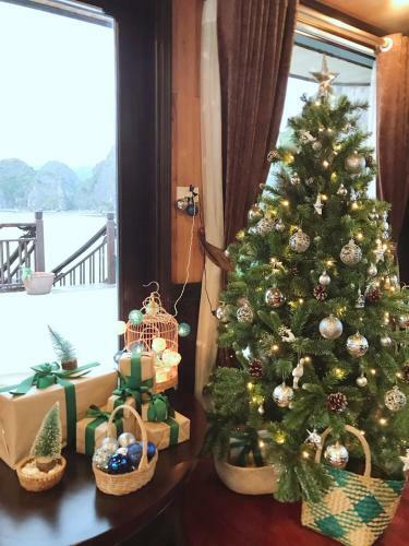 Cozy Boutique Cruise