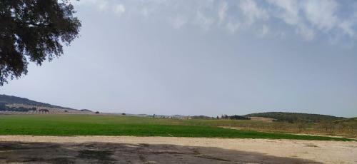 Casa Rural La Galana Albacete