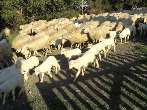 Holiday Home I Sassi Montecerboli