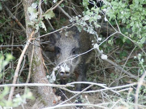 Holiday Home I Sassi Montecerboli