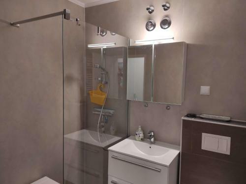 Apartamento Ferienwohnung Bergwiese 20
