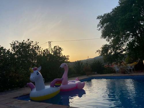 Casa Primavera - A Little Piece Of Paradise.