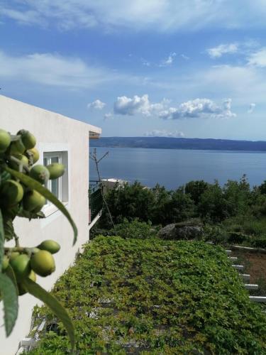 Apartamento Star Of The Sea 2