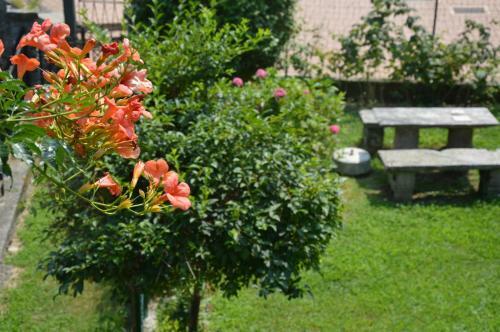 Holiday Apartment Il Giardino Di Elena