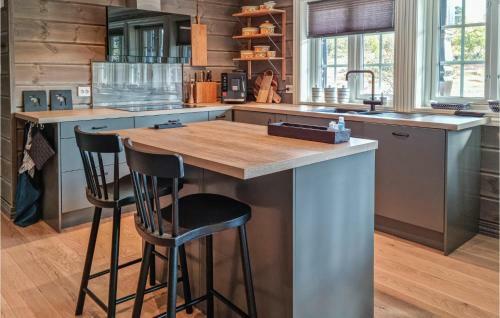 Awesome Home In Hovden I Setesdal With 5 Bedrooms