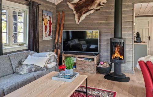 Awesome Home In Hovden I Setesdal With 5 Bedrooms