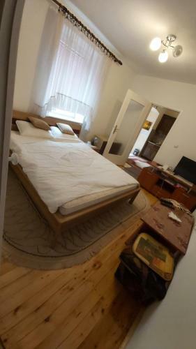 Apartman Arsi?