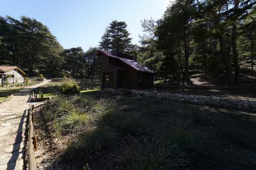 Lodge Cragus Inn Fethiye