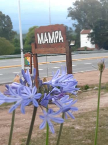 Lodge Caba�as Mampa