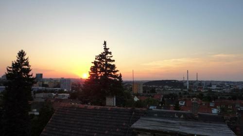 Apartm�ny Helena