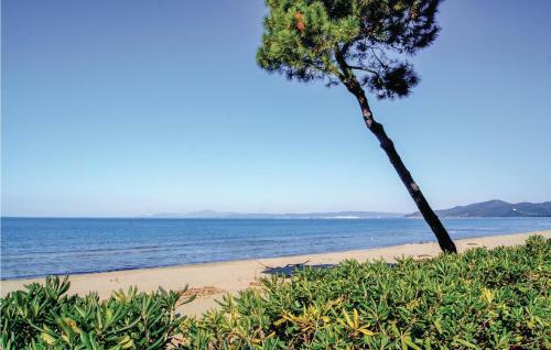 Apartamento Quadri Capanne