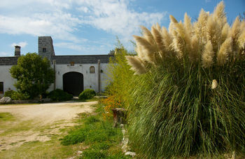 Agroturismo Masseria Lacco