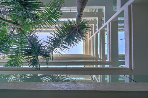 Apartamento Nayri Life & Spa 102