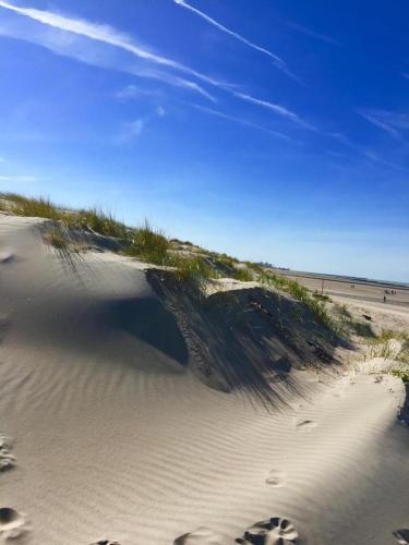 Apartamento Beachstudio Westende