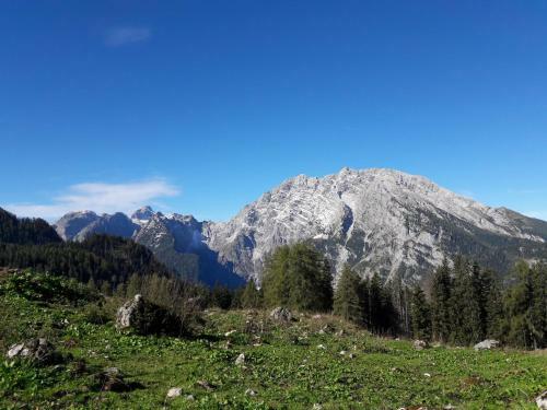 Apartamento G�stehaus L�rcheck Berchtesgaden Fewo Morgensonne