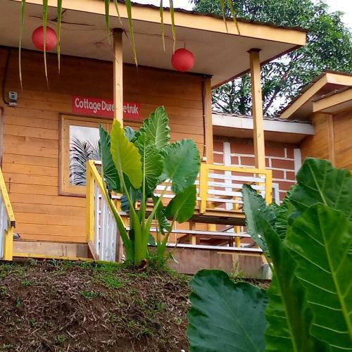 Villa Vila Cottage Rambutan Binjai