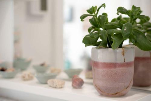 Apartamento Cute As A Button And On The Beach