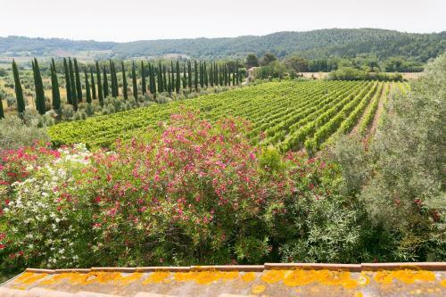 Agroturismo Relais La Pieve Vecchia