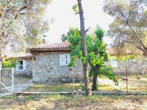 Villa Ek?nc?k'te V?lla Ta? Ev