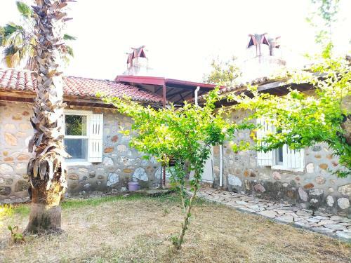Villa Ek?nc?k'te V?lla Ta? Ev