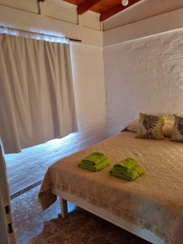 Apartamento Deptos Antartida