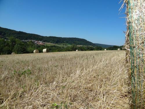 Apartamento Ferienhaus Donauer Im Altm�hltal