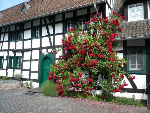Hostal Falderhof