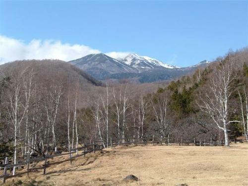 Bed & Breakfast Onsen Inn 36so