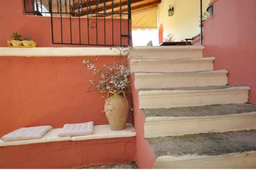 Magda's Traditional House