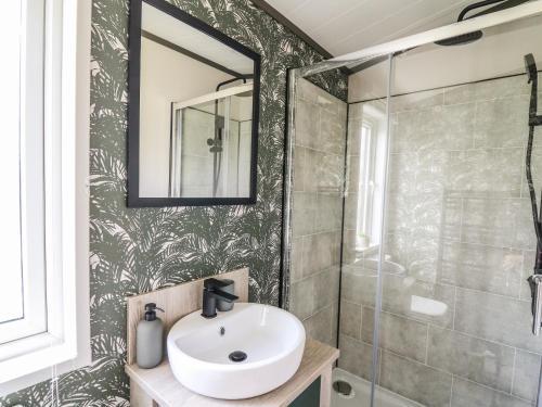 Owls Meadow